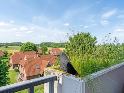 Ferienwohnung für 4 Personen (46 m²) in Dahme 9/10