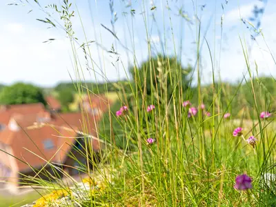 Ferienwohnung für 4 Personen (46 m²) in Dahme 10/10