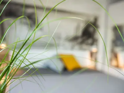 Ferienwohnung für 3 Personen (41 m²) in Dahme 5/10