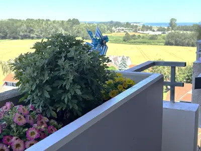 Ferienwohnung für 4 Personen (47 m²) in Dahme 10/10