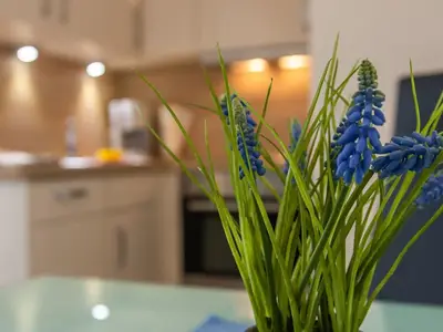 Ferienwohnung für 2 Personen (30 m²) in Dahme 1/10