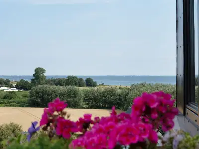 Ferienwohnung für 5 Personen (46 m²) in Dahme 3/10