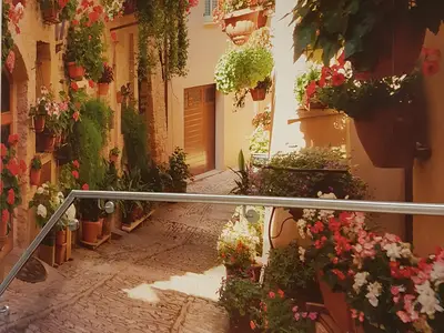 Ferienwohnung für 2 Personen (23 m²) in Dahme 7/10