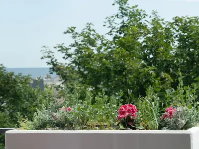 Ferienwohnung für 4 Personen (46 m²) in Dahme 8/10