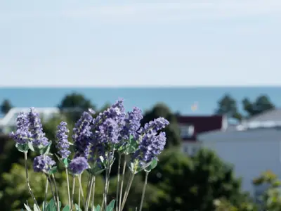 Ferienwohnung für 4 Personen (46 m²) in Dahme 8/10