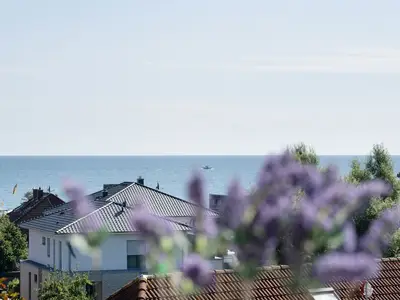 Ferienwohnung für 4 Personen (46 m²) in Dahme 9/10