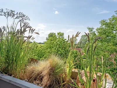 Ferienwohnung für 4 Personen (49 m²) in Dahme 9/10
