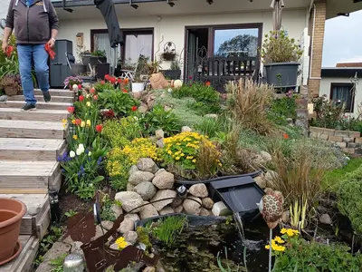 Ferienwohnung für 3 Personen (45 m²) in Dahme 2/10