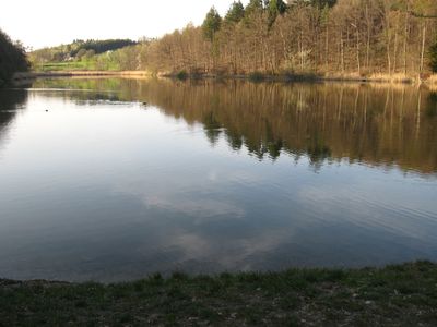 Neuweiher Daisendorf