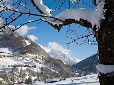 Ferienwohnung für 8 Personen (105 m²) in Dalaas 7/10