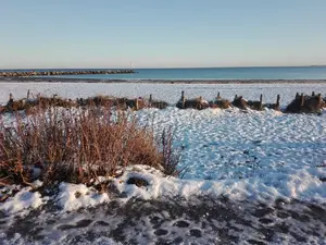 Ferienwohnung für 3 Personen (34 m²) in Damp