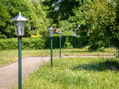 GardenSummer
