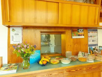 Ferienwohnung für 2 Personen (15 m²) in Damüls 2/10