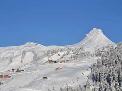 Ferienwohnung für 2 Personen (15 m²) in Damüls 6/10