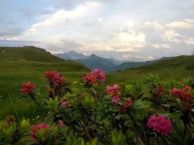 Ferienwohnung für 4 Personen (25 m²) in Damüls 4/10