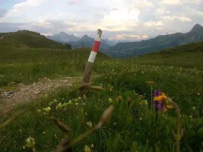 Ferienwohnung für 4 Personen (25 m²) in Damüls 5/10