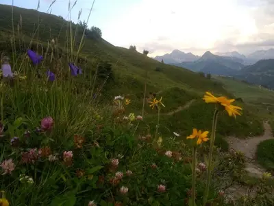 Ferienwohnung für 4 Personen (25 m²) in Damüls 10/10