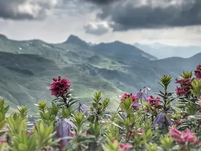 Ferienwohnung für 6 Personen (70 m²) in Damüls 10/10