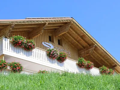 Ferienwohnung für 3 Personen (30 m²) in Damüls 1/10