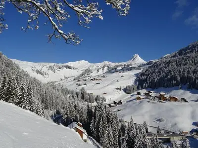 Ferienwohnung für 4 Personen (25 m²) in Damüls 4/10