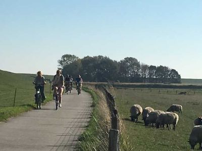 Ferienwohnung für 4 Personen (52 m²) in Dangast 8/10