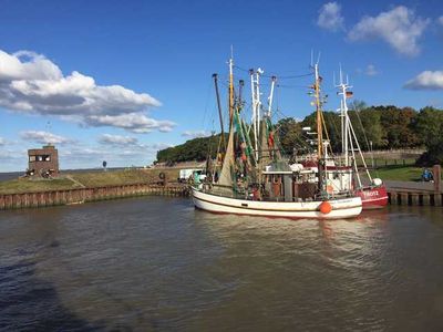 Ferienwohnung für 5 Personen (63 m²) in Dangast 9/10