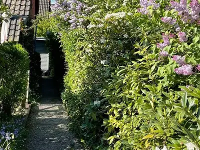 Ferienwohnung für 5 Personen (70 m²) in Dangast 2/10