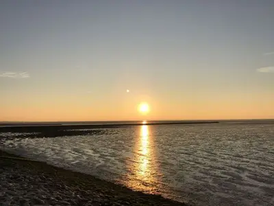 Ferienwohnung für 6 Personen (75 m²) in Dangast 5/10