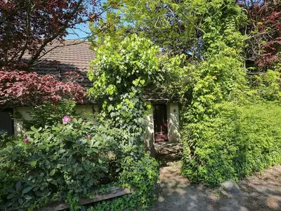 Ferienwohnung für 3 Personen (68 m²) in Dangast 4/10