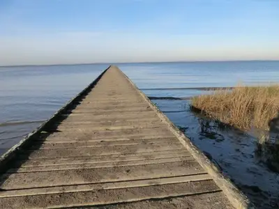 Ferienwohnung für 5 Personen (75 m²) in Dangast 4/10