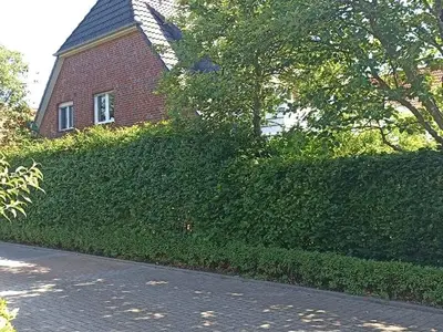 Ferienwohnung für 4 Personen (50 m²) in Dangast 2/10