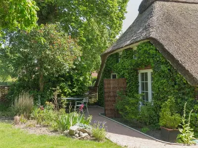 Ferienwohnung für 3 Personen (50 m²) in Dangast 3/10