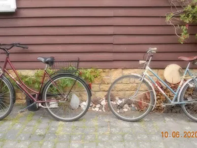 Ferienwohnung für 4 Personen (60 m²) in Dankerode 6/10