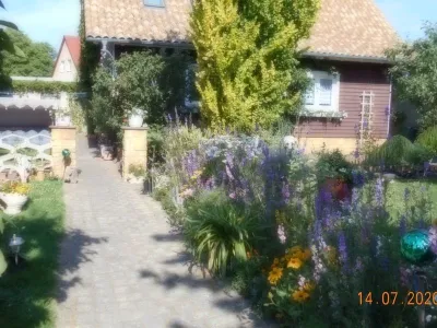 Ferienwohnung für 3 Personen (60 m²) in Dankerode 1/10