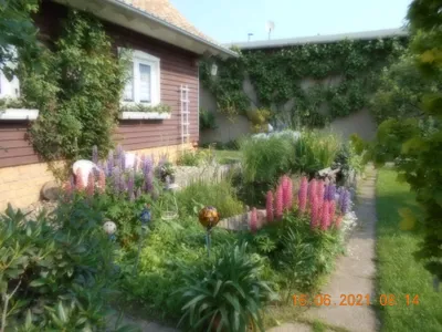 Ferienwohnung für 3 Personen (60 m²) in Dankerode 8/10