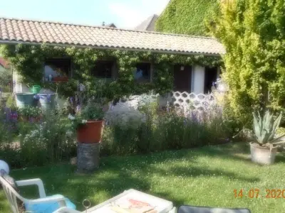 Ferienwohnung für 3 Personen (60 m²) in Dankerode 5/10