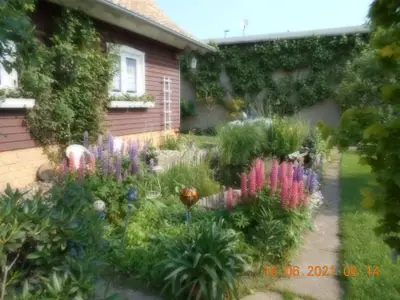 Ferienwohnung für 3 Personen (60 m²) in Dankerode 8/10