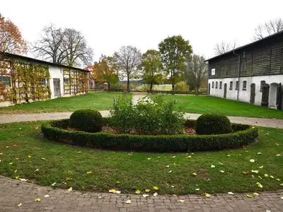 Ferienwohnung für 3 Personen (35 m²) in Dargen 3/10
