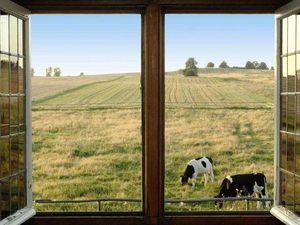 Ferienwohnung für 5 Personen (60 m²) in Darlowo