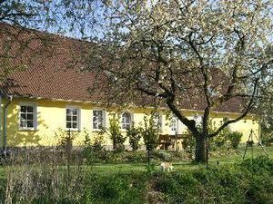 Ferienwohnung für 4 Personen (39 m²) in Dassow