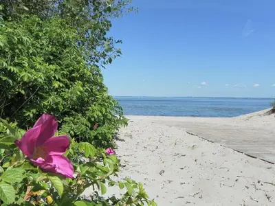 Ferienwohnung für 4 Personen (101 m²) in Barendorf 9/10