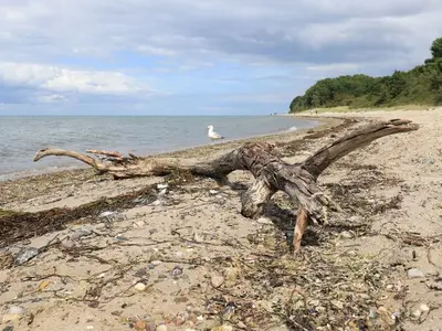 Ferienwohnung für 4 Personen (101 m²) in Barendorf 10/10