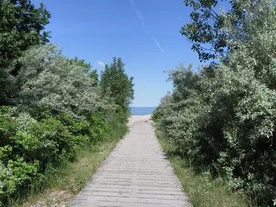 Ferienwohnung für 4 Personen (101 m²) in Barendorf 9/10