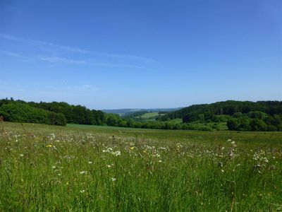 Sommerliche Eifellandschaft