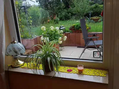 Blick in den Garten vom Wohnbereich