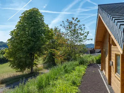 Ferienwohnung für 4 Personen (125 m²) in Daun 4/10