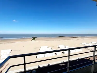 ViewSummer