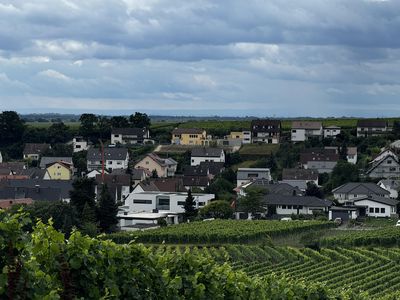 Blick über Deidesheim West