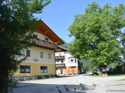 Ferienwohnung für 5 Personen (60 m²) in Dellach 1/10