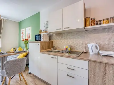 Ferienwohnung für 3 Personen in Delnice 5/10